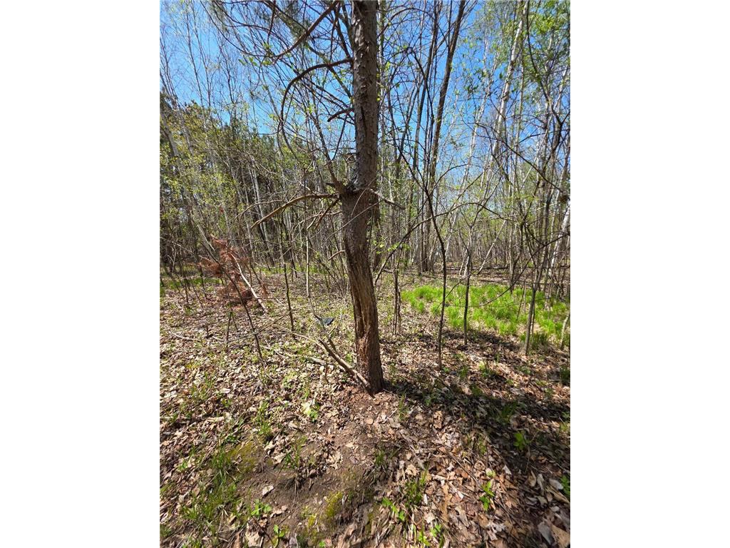 00 4th Vance Creek Twp WI 54004 6718322 image9