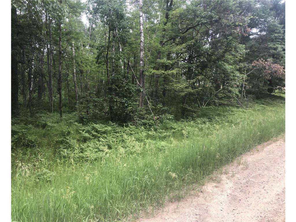 00 Blue Ridge Drive Breezy Point MN 56472 6555126 image1