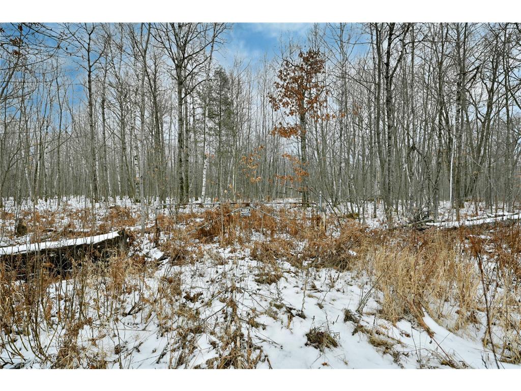 00 County Hwy F Sand Lake Twp WI 54876 6483060 image1
