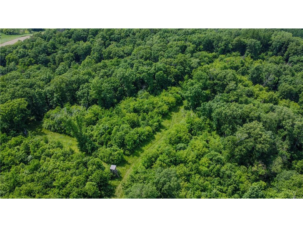 00 Dopp Gale Twp WI 54627 7089924 image15