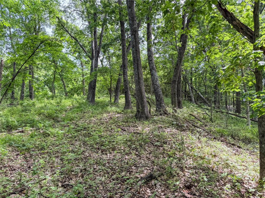 00 Dopp Gale Twp WI 54627 7089924 image17