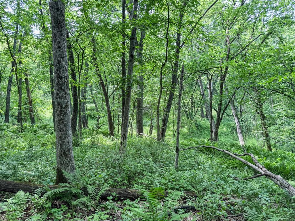 00 Dopp Gale Twp WI 54627 7089924 image19