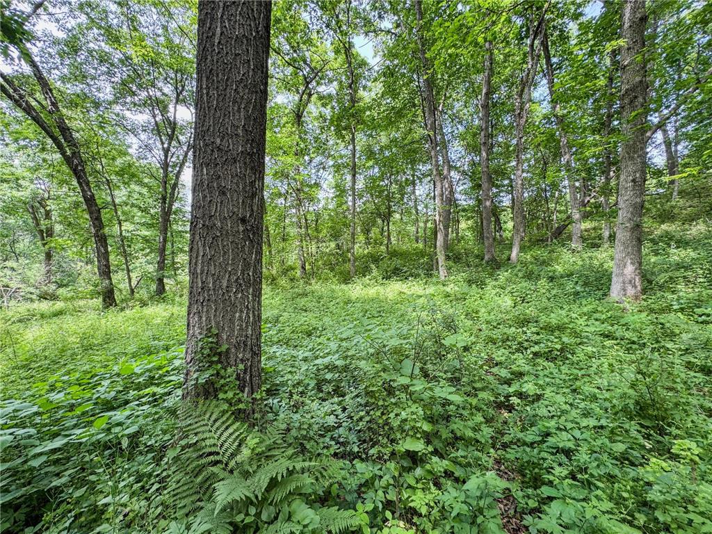 00 Dopp Gale Twp WI 54627 7089924 image20