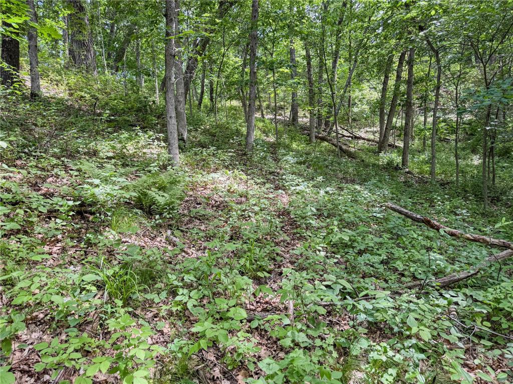 00 Dopp Gale Twp WI 54627 7089924 image23