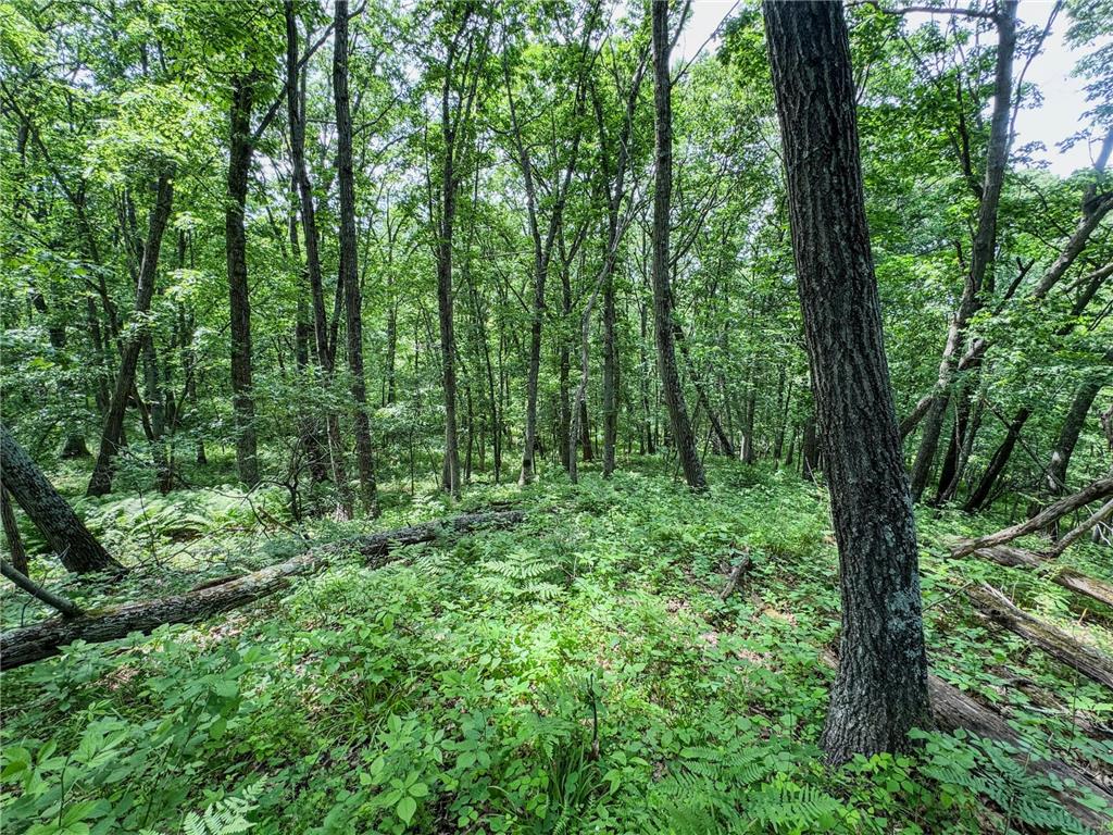 00 Dopp Gale Twp WI 54627 7089924 image25