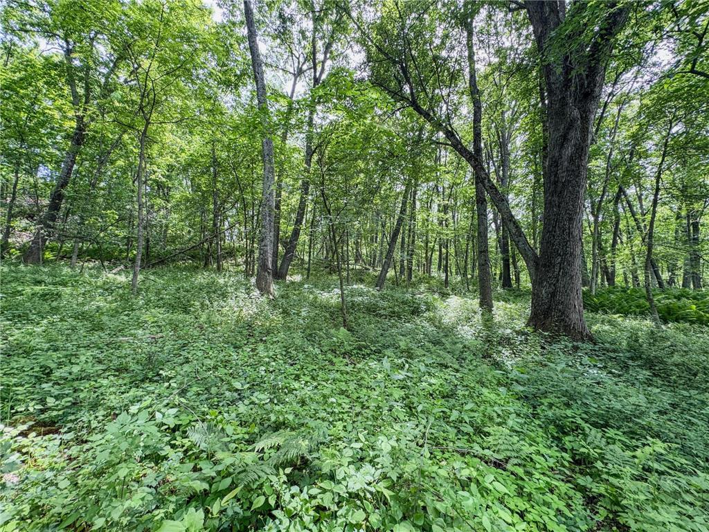 00 Dopp Gale Twp WI 54627 7089924 image26