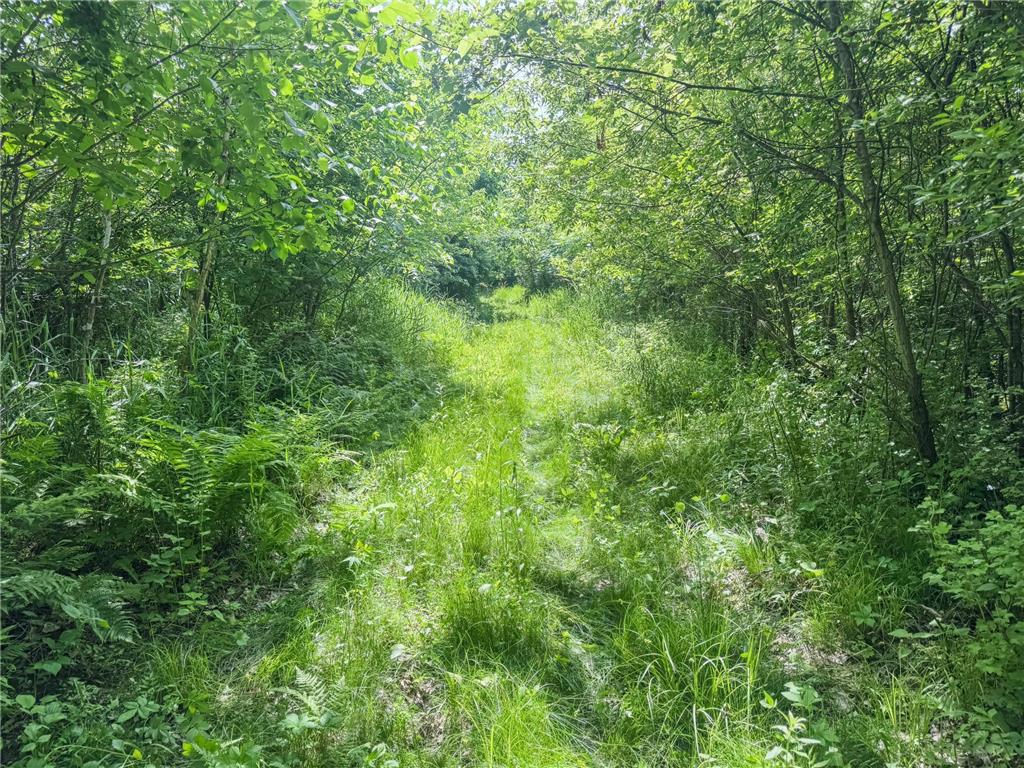 00 Dopp Gale Twp WI 54627 7089924 image27