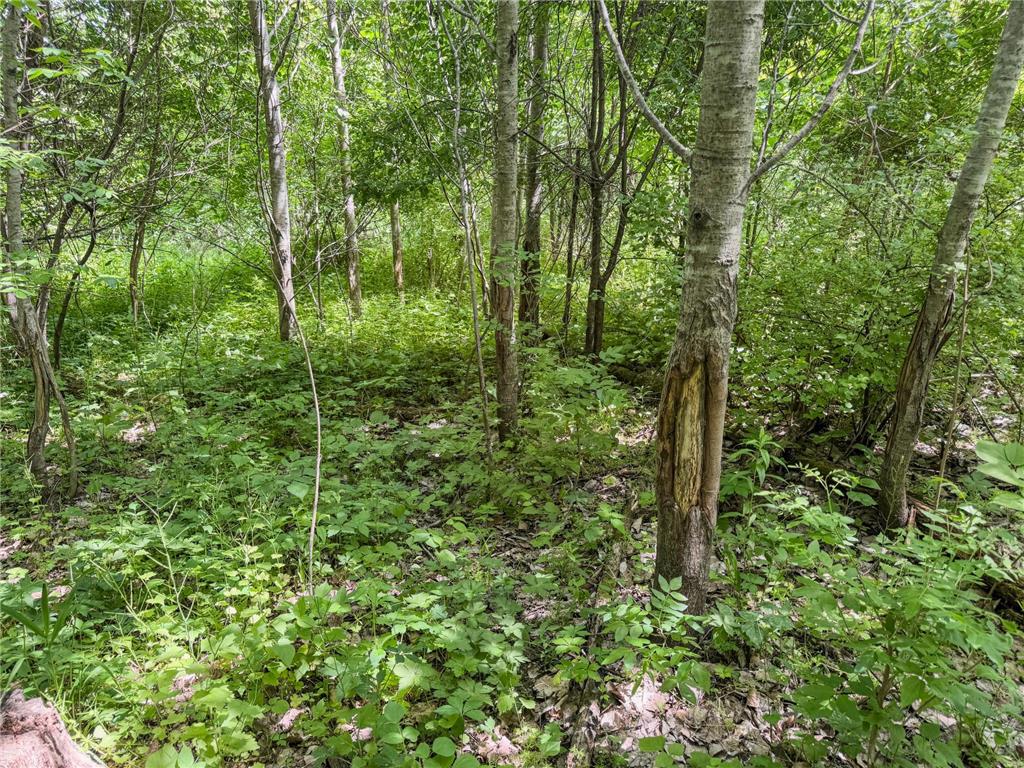 00 Dopp Gale Twp WI 54627 7089924 image28