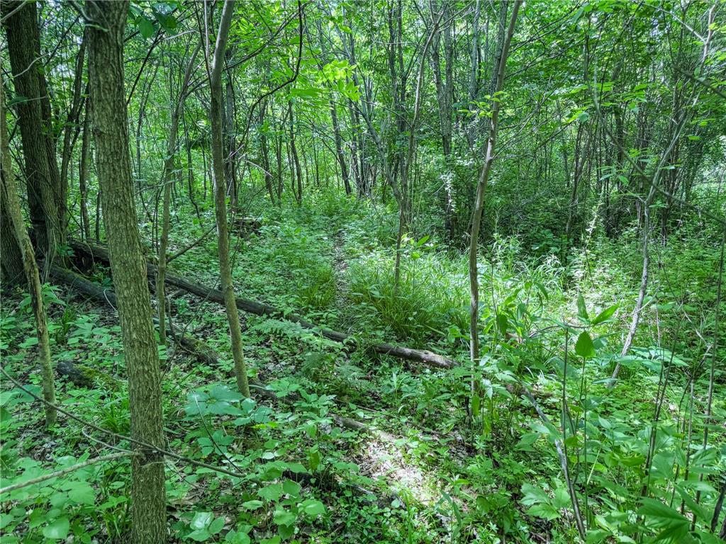 00 Dopp Gale Twp WI 54627 7089924 image30