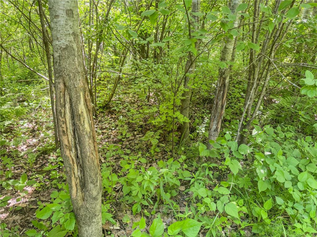 00 Dopp Gale Twp WI 54627 7089924 image33