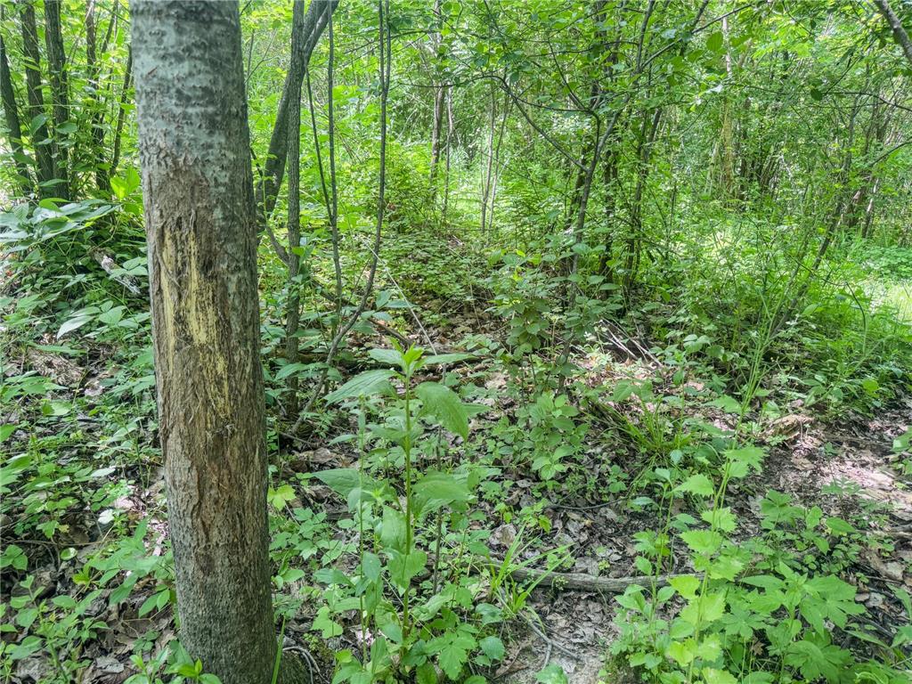 00 Dopp Gale Twp WI 54627 7089924 image34