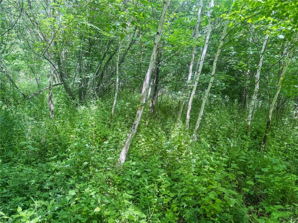 00 Dopp Gale Twp WI 54627 7089924 image35