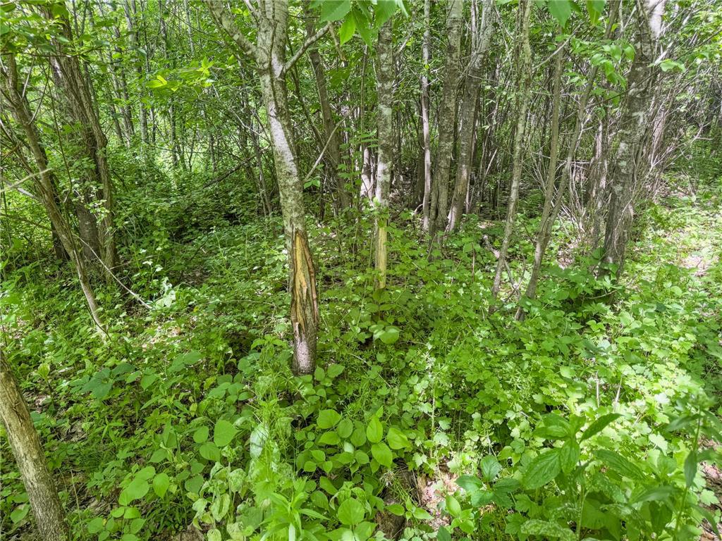 00 Dopp Gale Twp WI 54627 7089924 image36