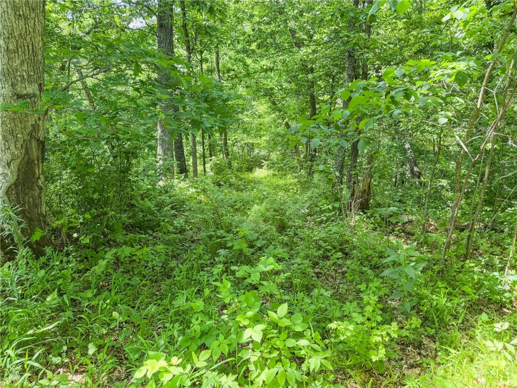 00 Dopp Gale Twp WI 54627 7089924 image39