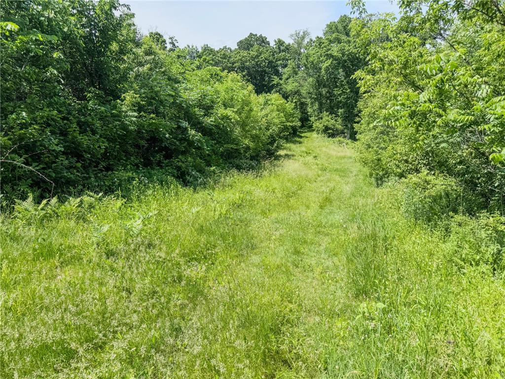00 Dopp Gale Twp WI 54627 7089924 image42