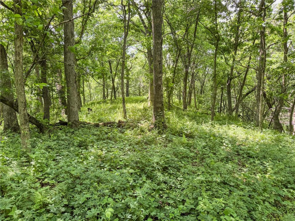 00 Dopp Gale Twp WI 54627 7089924 image44