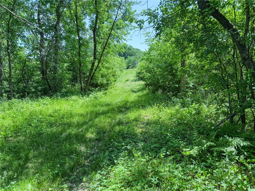 00 Dopp Gale Twp WI 54627 7089924 image47