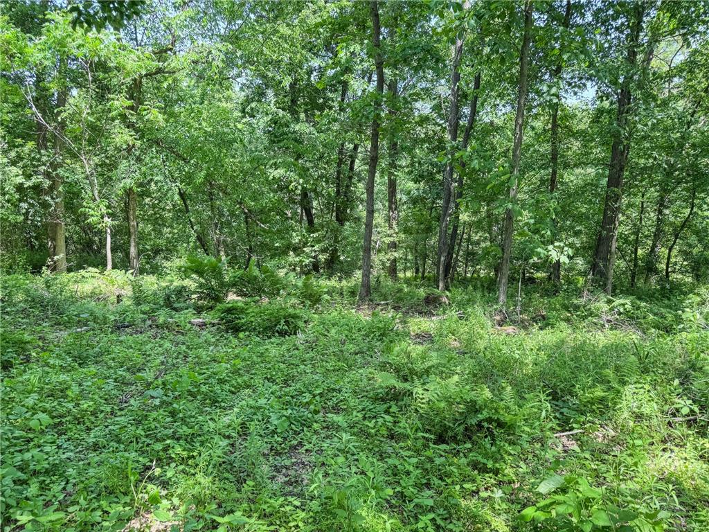 00 Dopp Gale Twp WI 54627 7089924 image48