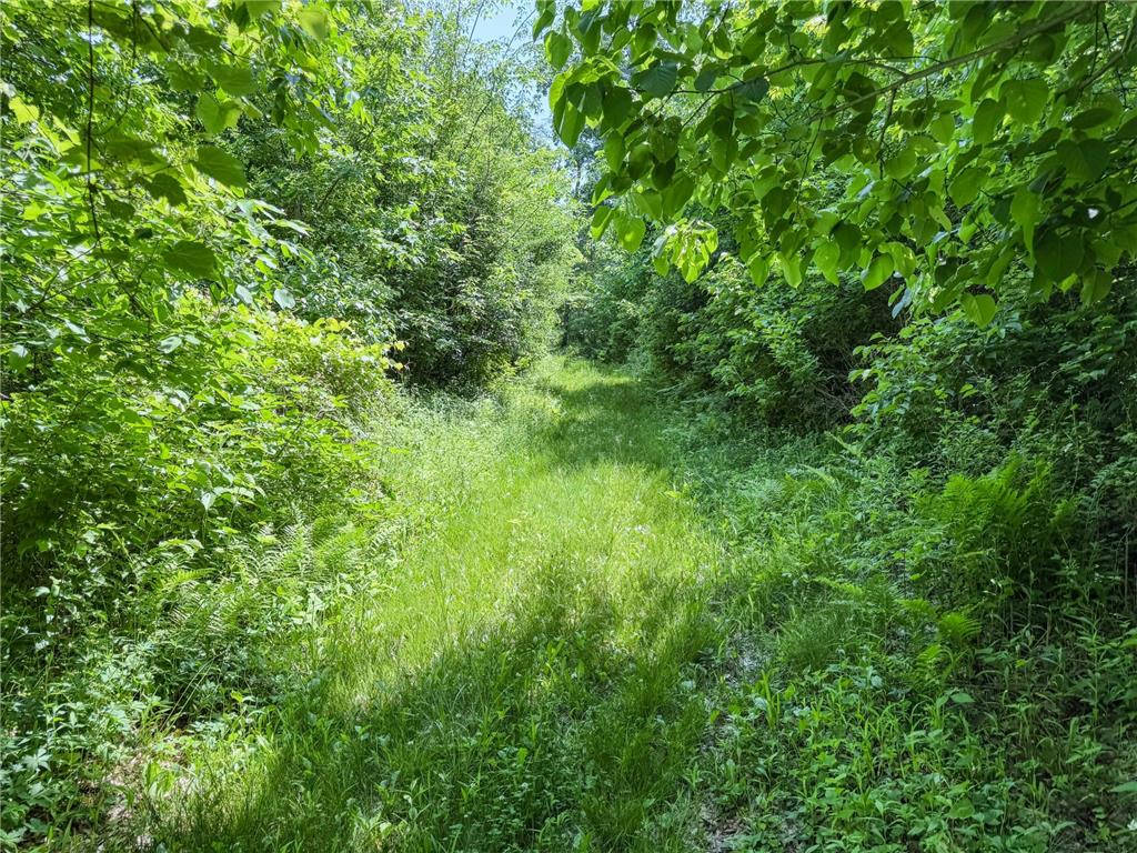 00 Dopp Gale Twp WI 54627 7089924 image49