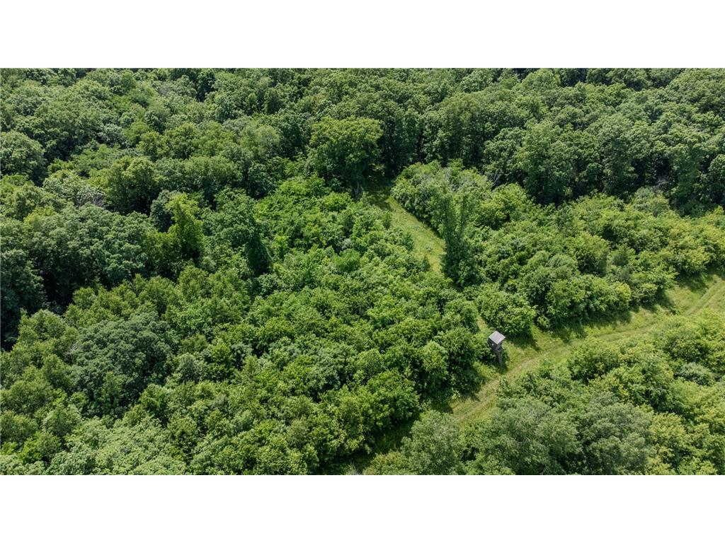 00 Dopp Gale Twp WI 54627 7089924 image5
