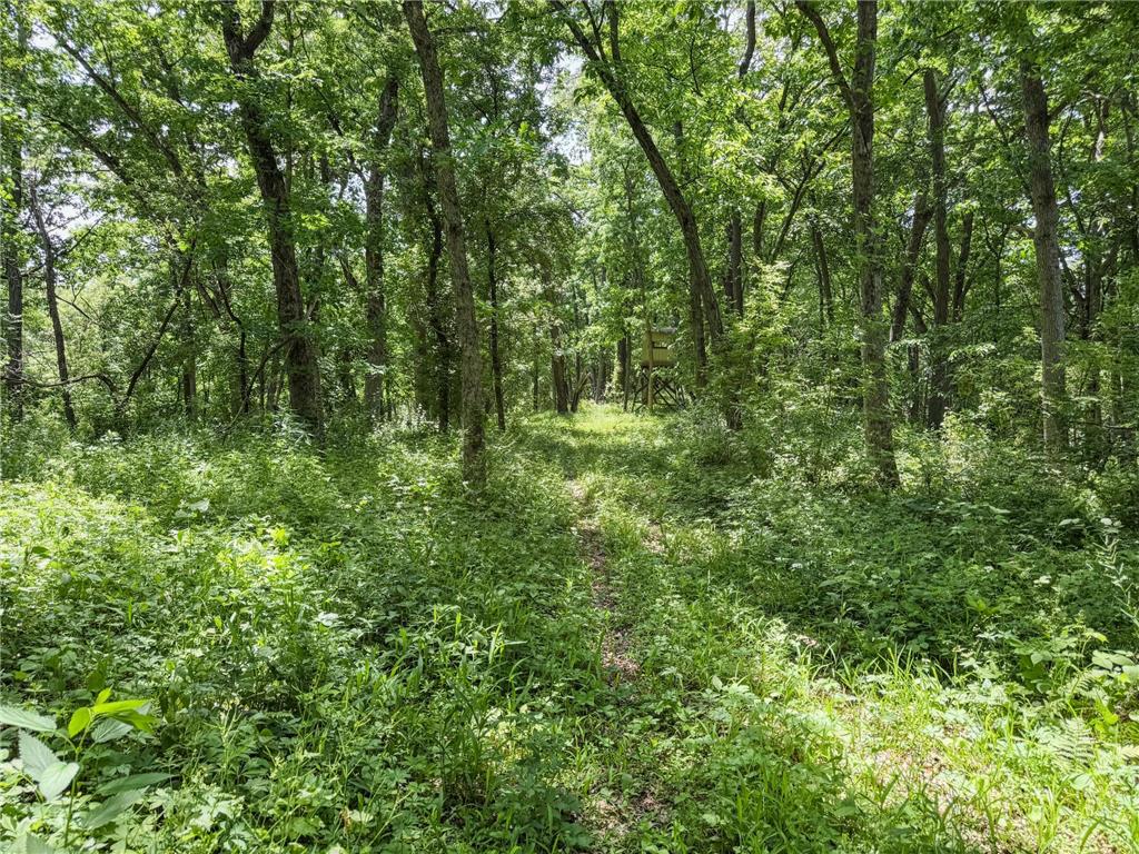 00 Dopp Gale Twp WI 54627 7089924 image51