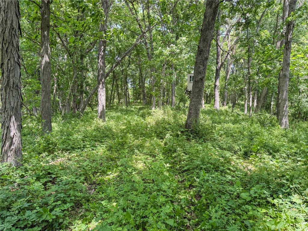 00 Dopp Gale Twp WI 54627 7089924 image52
