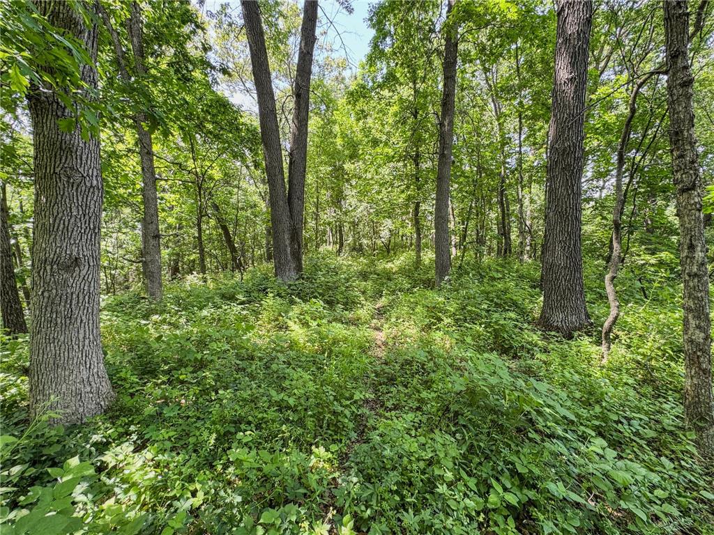 00 Dopp Gale Twp WI 54627 7089924 image53