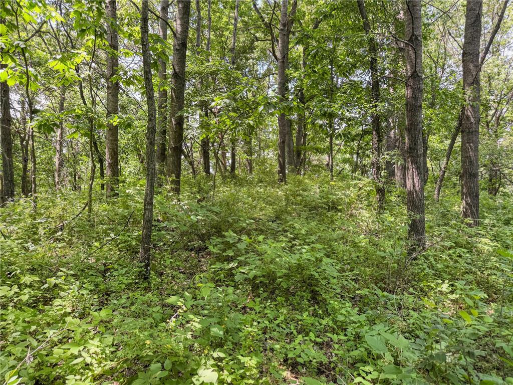 00 Dopp Gale Twp WI 54627 7089924 image54