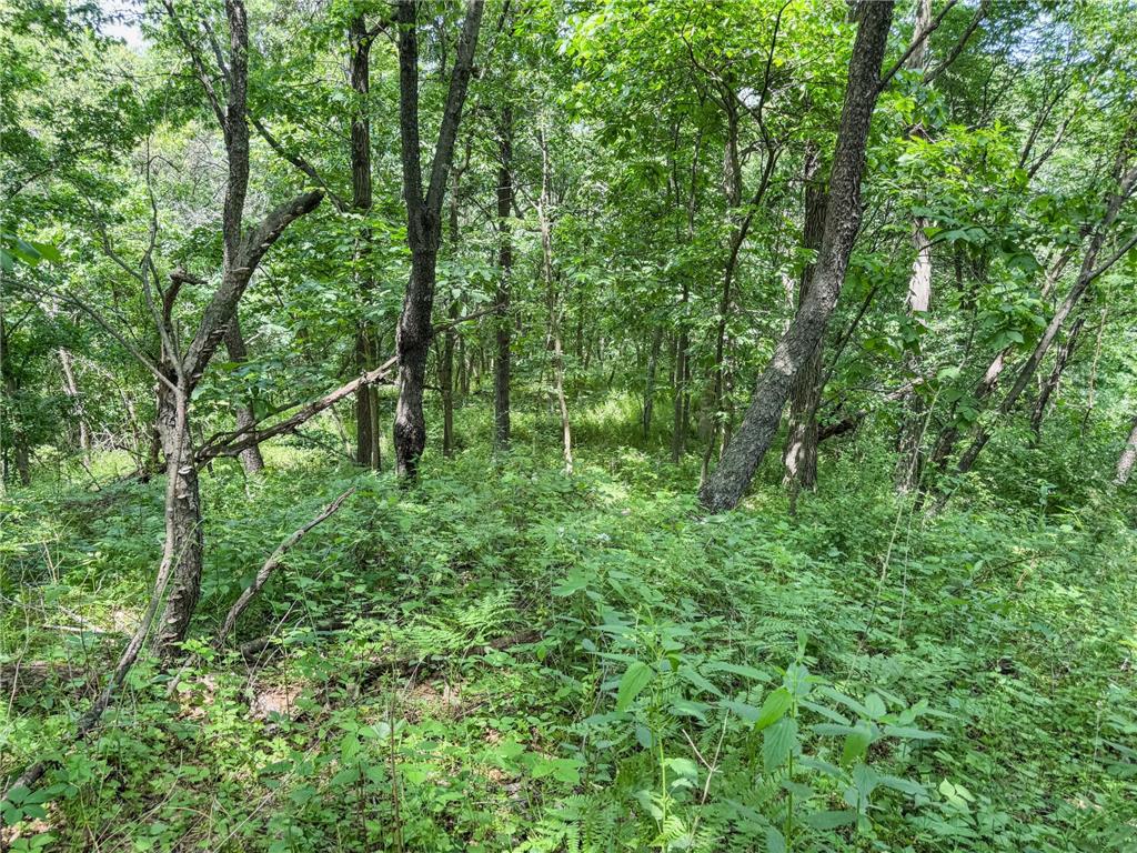 00 Dopp Gale Twp WI 54627 7089924 image55