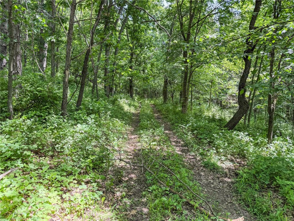 00 Dopp Gale Twp WI 54627 7089924 image61