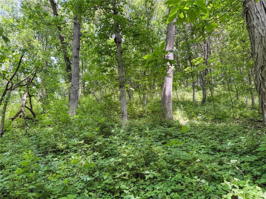00 Dopp Gale Twp WI 54627 7089924 image62
