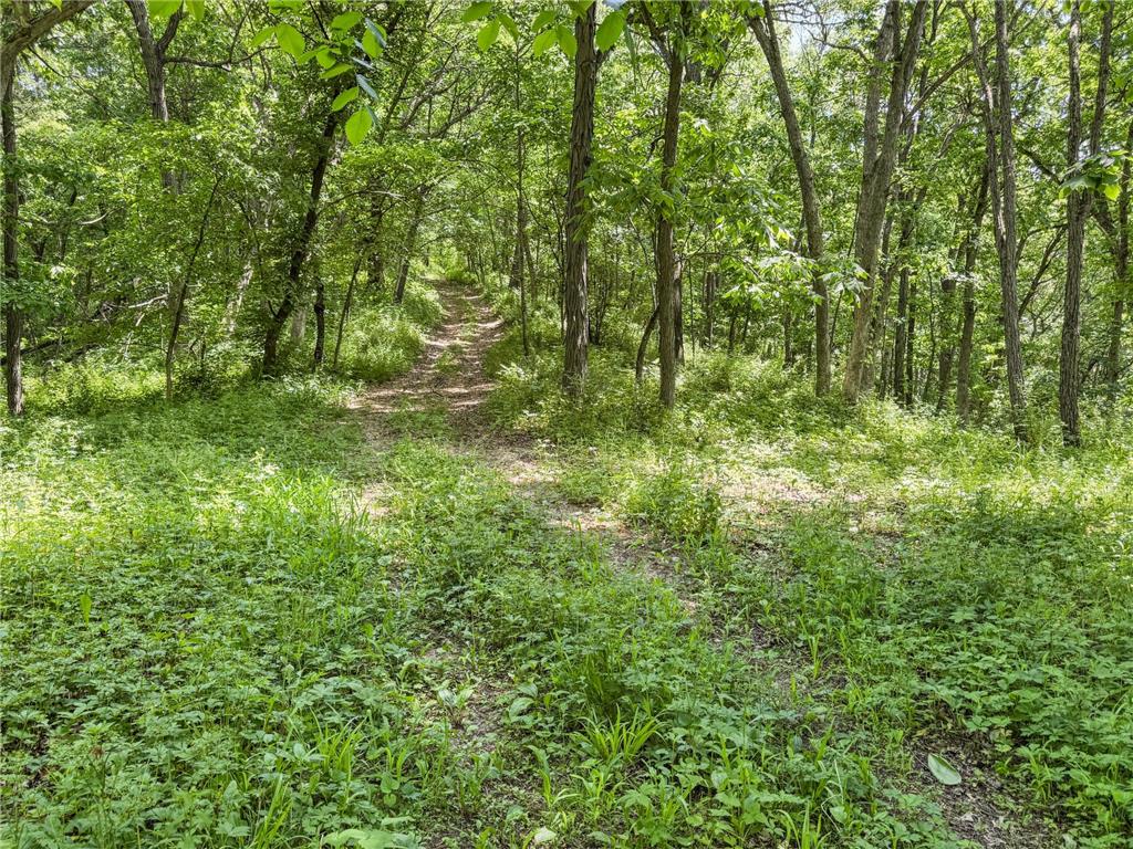 00 Dopp Gale Twp WI 54627 7089924 image63
