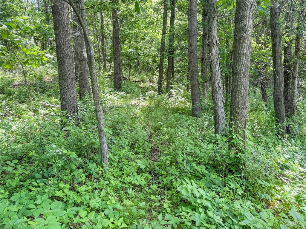 00 Dopp Gale Twp WI 54627 7089924 image68