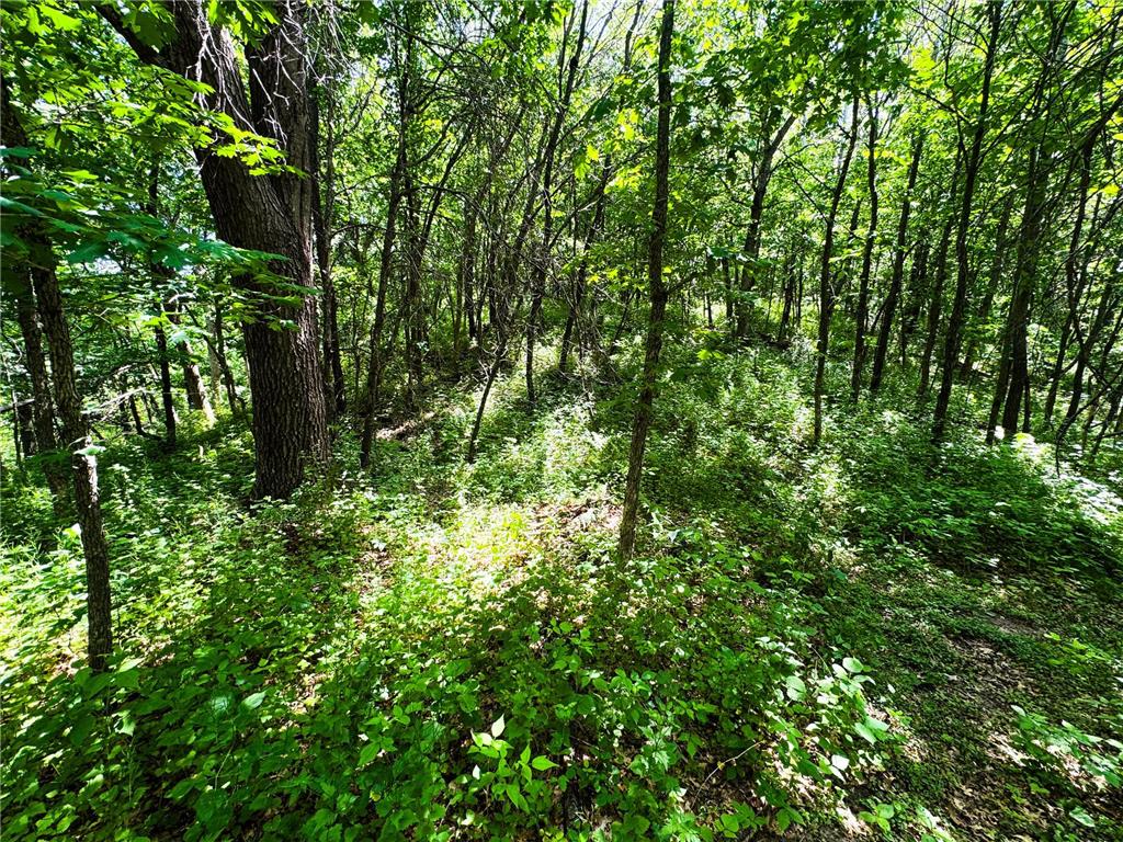00 Dopp Gale Twp WI 54627 7089924 image69