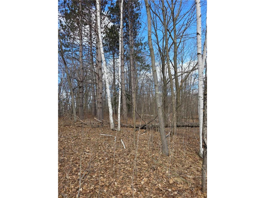 00 Highway W Rusk Twp WI 54895 7053004 image1