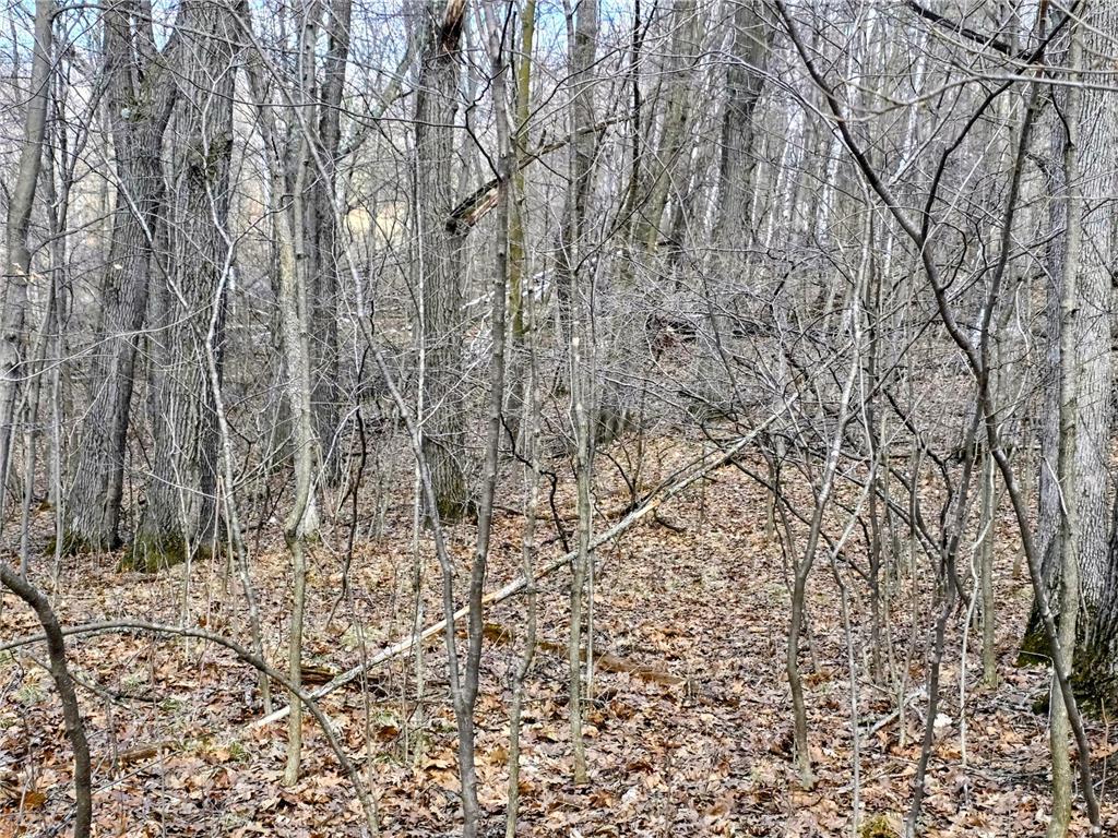 00 Highway W Rusk Twp WI 54895 7053004 image10