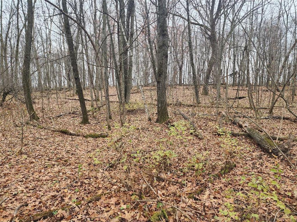 00 Hwy K ( 2nd St) Turtle Lake WI 54004 6456952 image1