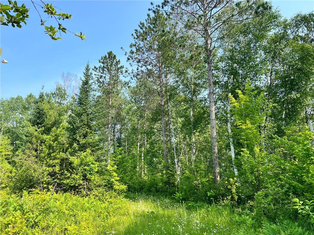 00 Minnesuing Acres Dr Lake Nebagamon WI 54849 - Hanson Creek 6396878 image1