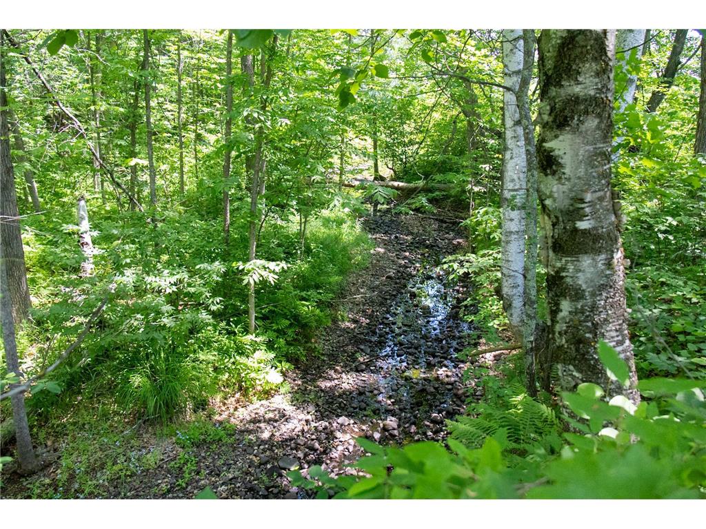 00 N Riverside Road Moose Lake Twp MN 55767 - Moose Horn River 6743419 image9
