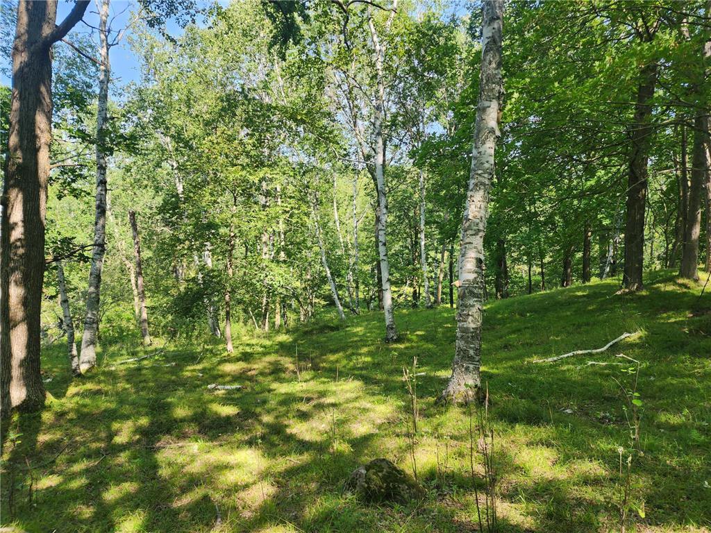 00 Narrow Gauge Bashaw Twp WI 54813 6586192 image1