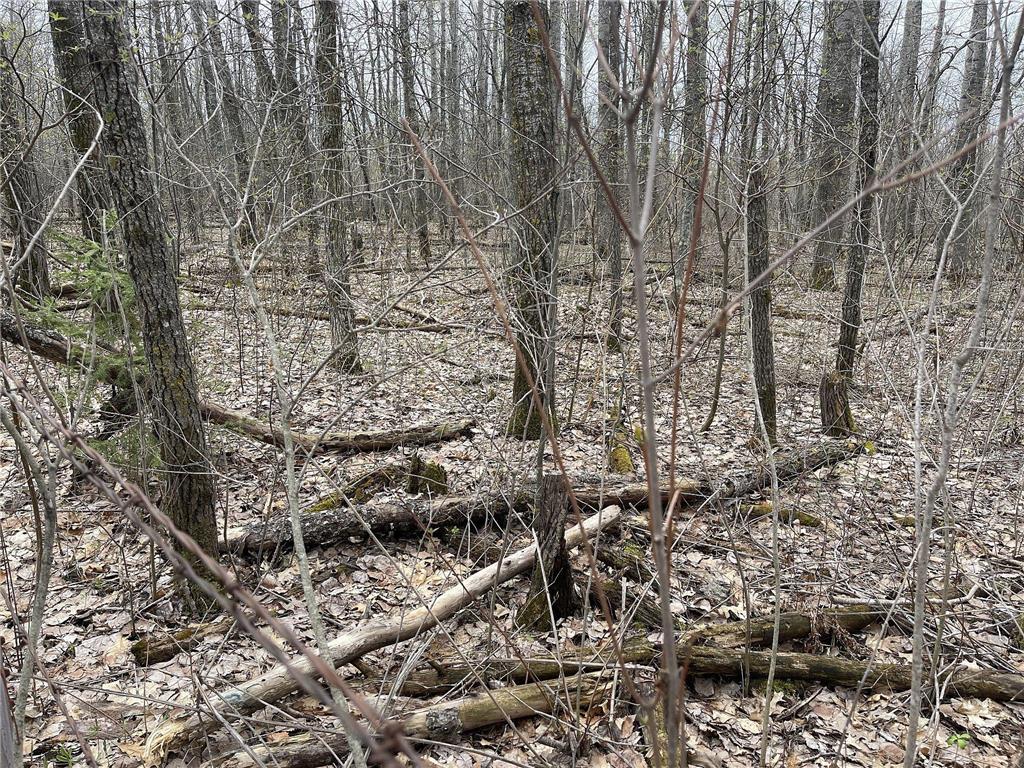 00 Nelson Road Swiss Twp WI 54830 6312215 image1