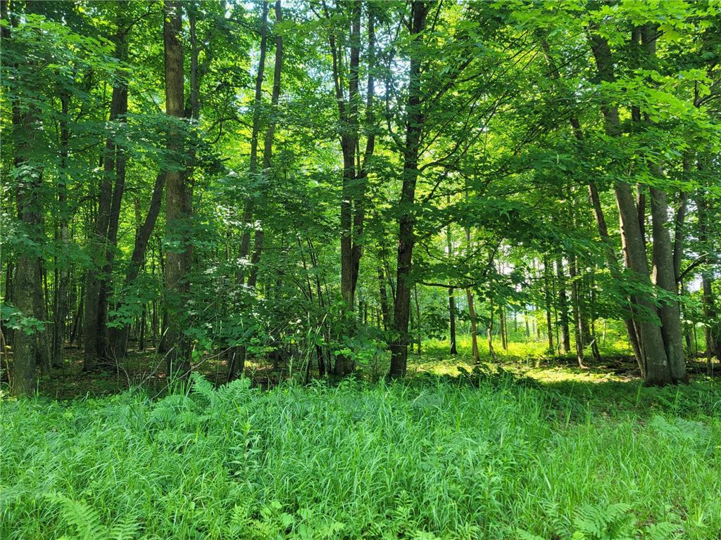 00 Pleasant View Trail Big Bend Twp WI 54757 - Island Lake 6394368 image1