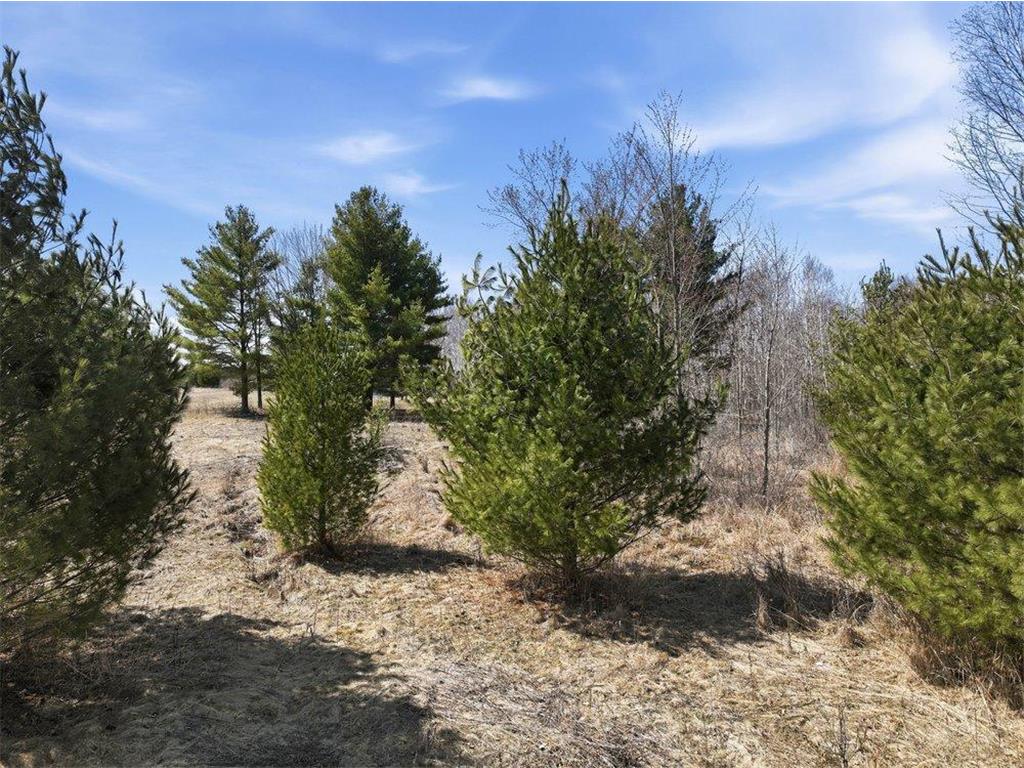 Lot 13 10 1/4 Avenue Chetek WI 54728 7053721 image21