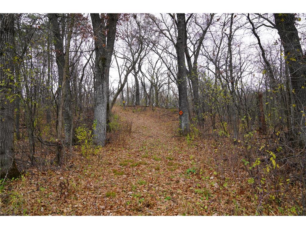 000 100th Street New Richmond Twp WI 54017 - Willow River 6337573 image1