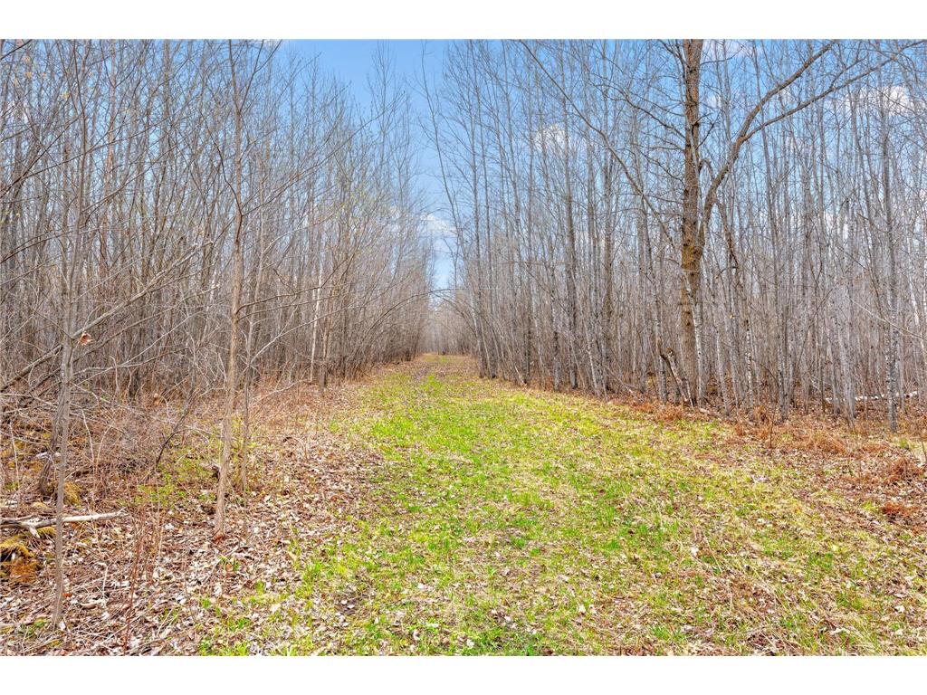 000 104th Street NE Boy River Twp MN 56672 6528695 image1