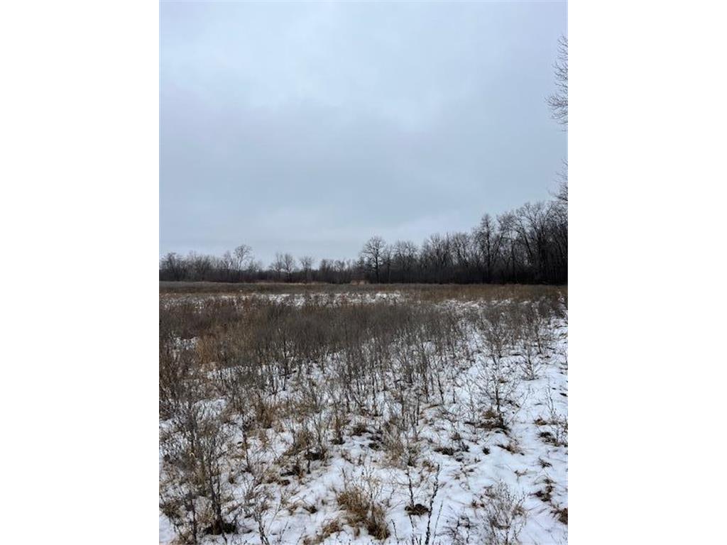 000 110th Ave Block 1 Lot 3 Princeton Twp MN 55371 - Rum River - West Branch 6481521 image1