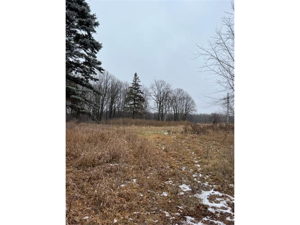 000 110th Ave Block 1 Lot 4 Princeton Twp MN 55371 - Rum River - West Branch 6481530 image1