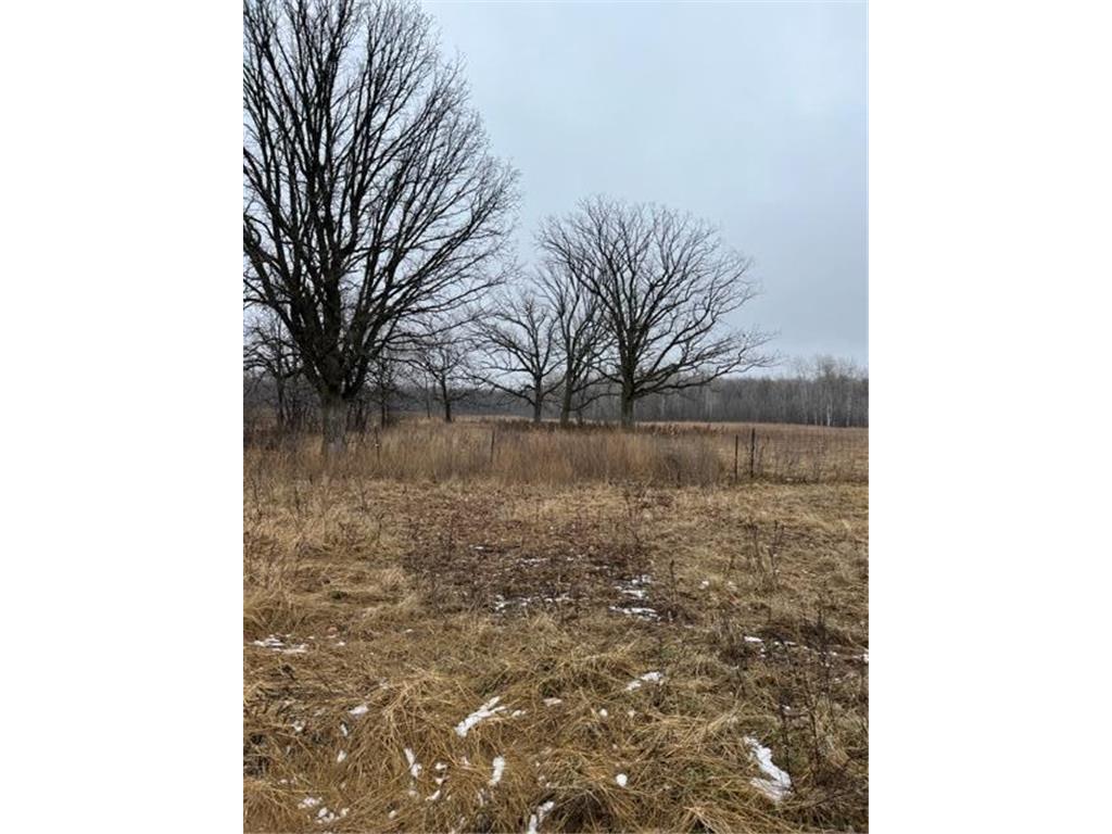 000 110th Ave Block 1 Lot 5 Princeton Twp MN 55371 - Rum River - West Branch 6481540 image1