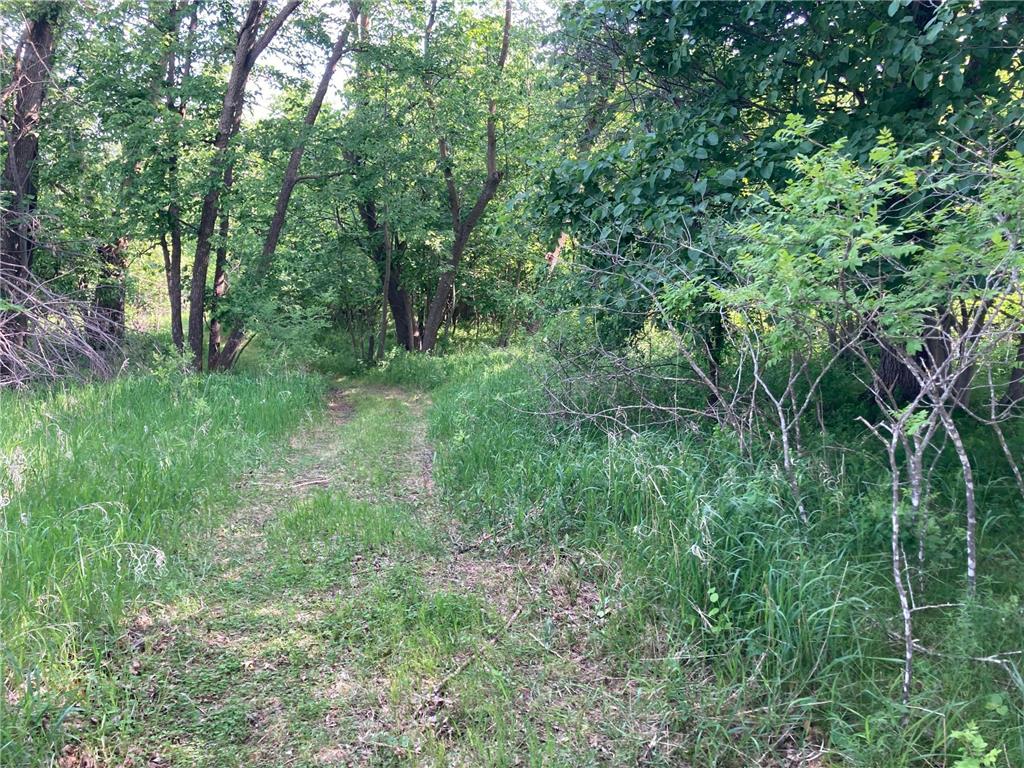 000 200th Street Lake Park Twp MN 56554 - Boyer 6732143 image10