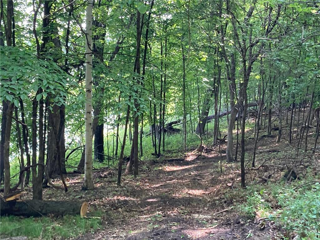 000 200th Street Lake Park Twp MN 56554 - Boyer 6732143 image11